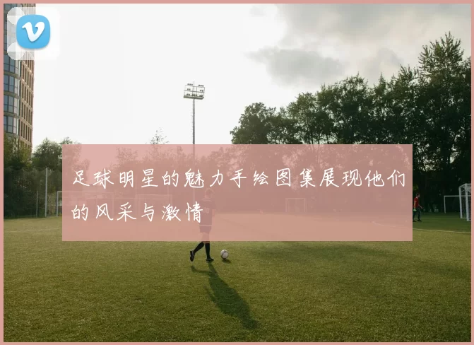 足球明星的魅力手绘图集展现他们的风采与激情