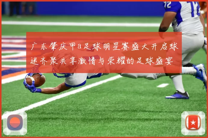 广东肇庆甲a足球明星赛盛大开启球迷齐聚共享激情与荣耀的足球盛宴