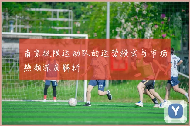 南京极限运动队的运营模式与市场热潮深度解析