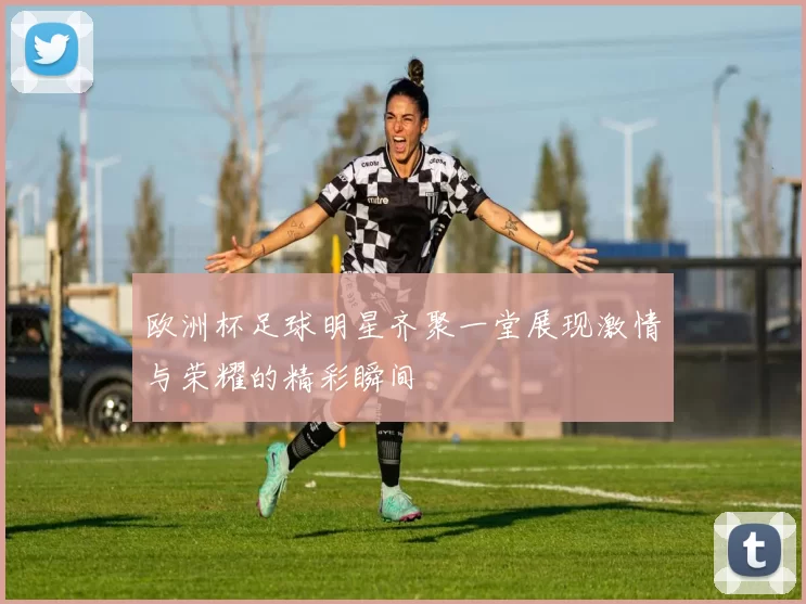 欧洲杯足球明星齐聚一堂展现激情与荣耀的精彩瞬间
