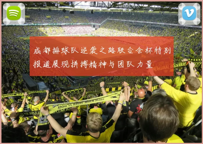 成都排球队逆袭之路联合会杯特别报道展现拼搏精神与团队力量