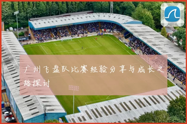 广州飞盘队比赛经验分享与成长之路探讨