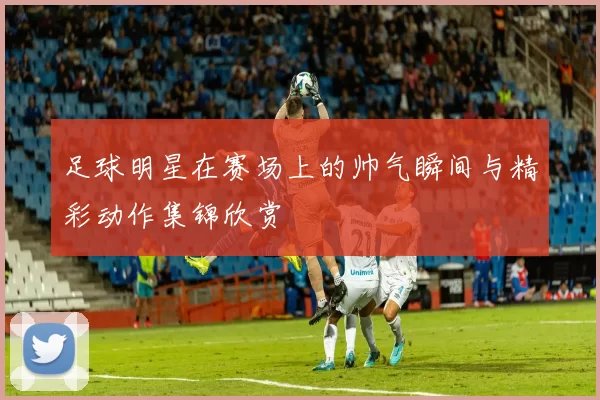 足球明星在赛场上的帅气瞬间与精彩动作集锦欣赏