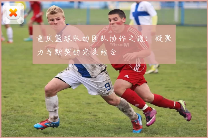 重庆篮球队的团队协作之道：凝聚力与默契的完美结合