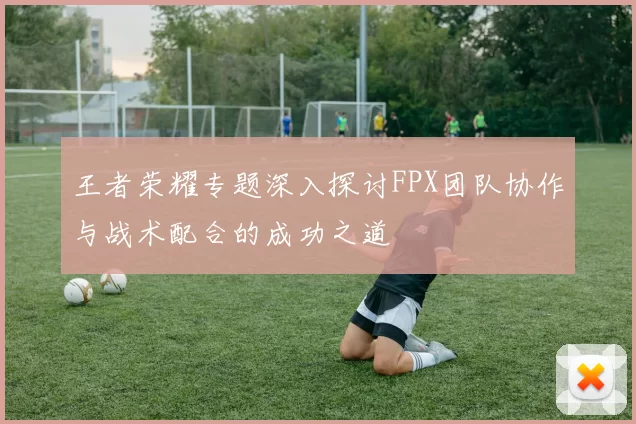 王者荣耀专题深入探讨FPX团队协作与战术配合的成功之道