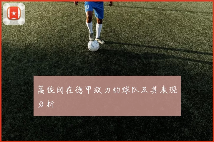 蒿俊闵在德甲效力的球队及其表现分析