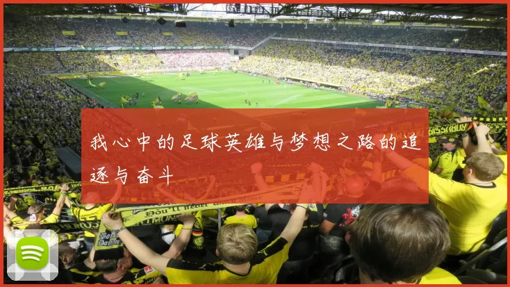 我心中的足球英雄与梦想之路的追逐与奋斗