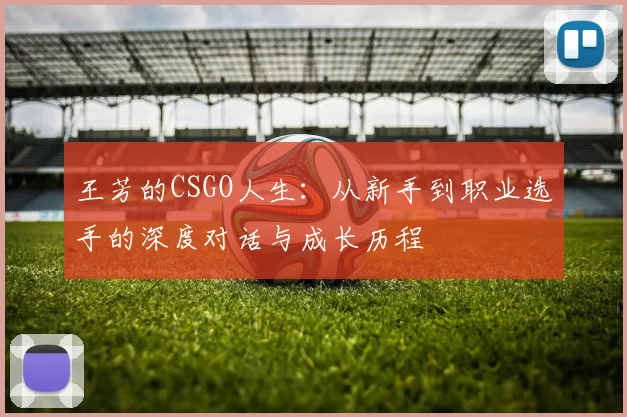 王芳的CSGO人生：从新手到职业选手的深度对话与成长历程