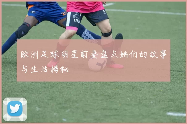 欧洲足球明星前妻盘点她们的故事与生活揭秘