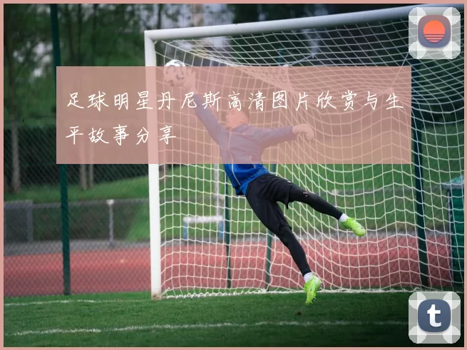 足球明星丹尼斯高清图片欣赏与生平故事分享