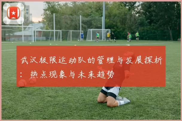 武汉极限运动队的管理与发展探析：热点现象与未来趋势