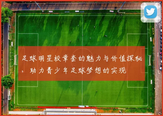 足球明星校章套的魅力与价值探秘，助力青少年足球梦想的实现