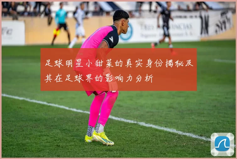 足球明星小甜菜的真实身份揭秘及其在足球界的影响力分析