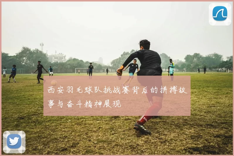 西安羽毛球队挑战赛背后的拼搏故事与奋斗精神展现