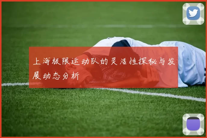 上海极限运动队的灵活性探秘与发展动态分析