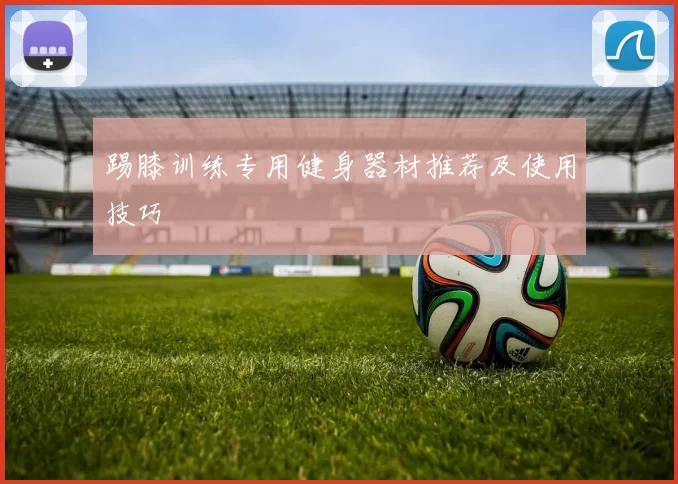 踢膝训练专用健身器材推荐及使用技巧