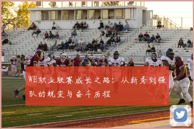 WE职业联赛成长之路：从新秀到强队的蜕变与奋斗历程