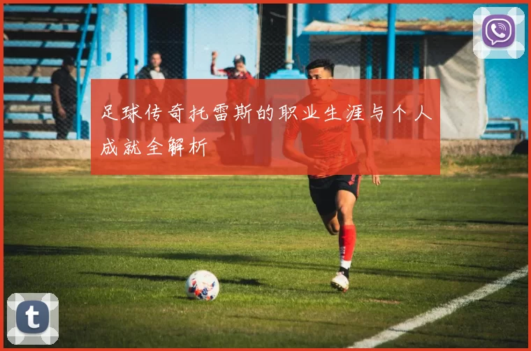 足球传奇托雷斯的职业生涯与个人成就全解析
