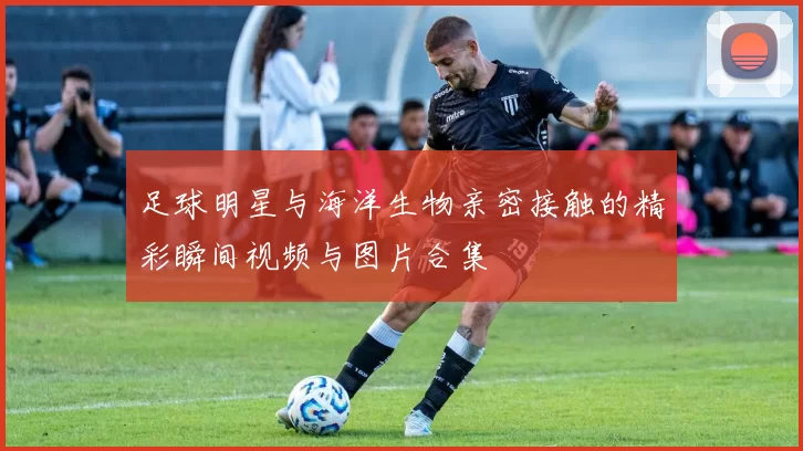 足球明星与海洋生物亲密接触的精彩瞬间视频与图片合集