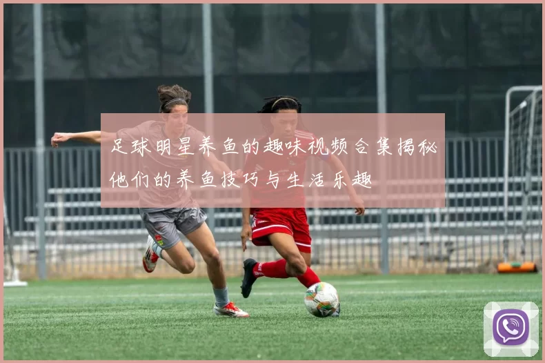 足球明星养鱼的趣味视频合集揭秘他们的养鱼技巧与生活乐趣