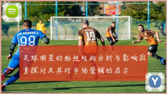 足球明星的粉丝结构分析与影响因素探讨及其对市场营销的启示