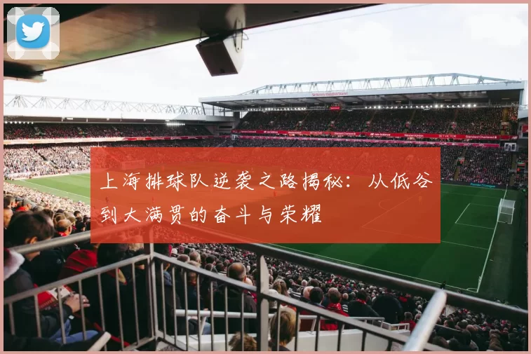 上海排球队逆袭之路揭秘：从低谷到大满贯的奋斗与荣耀