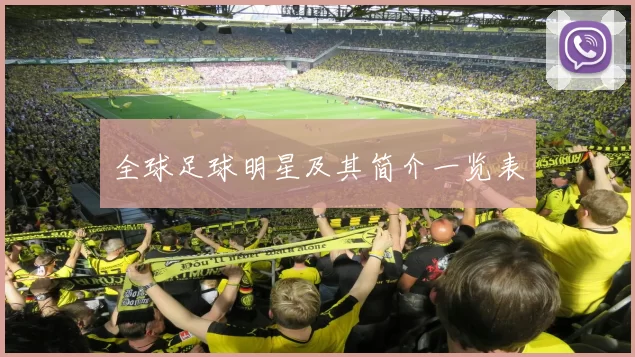 全球足球明星及其简介一览表