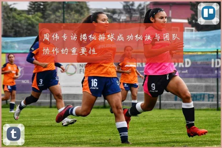 周伟专访揭秘排球成功秘诀与团队协作的重要性