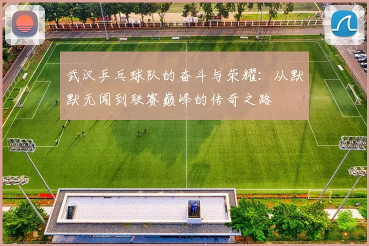 武汉乒乓球队的奋斗与荣耀：从默默无闻到联赛巅峰的传奇之路