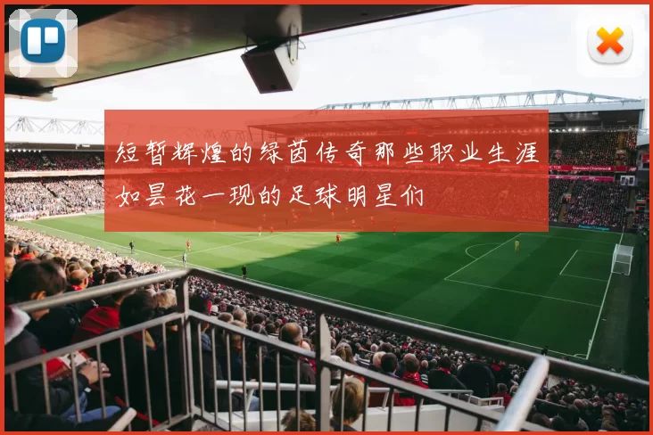 短暂辉煌的绿茵传奇那些职业生涯如昙花一现的足球明星们